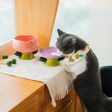 Flower Shape Cat Bowl Cheap