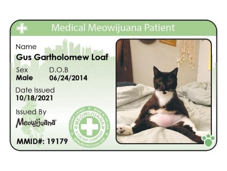 Medical Meowijuana ID Supply