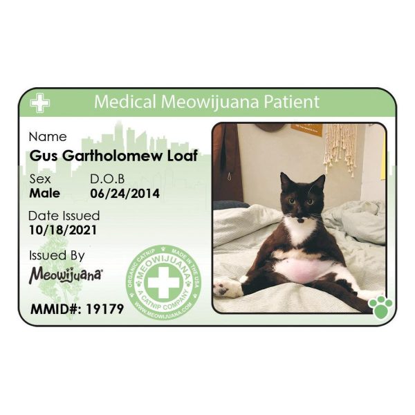 Medical Meowijuana ID Supply