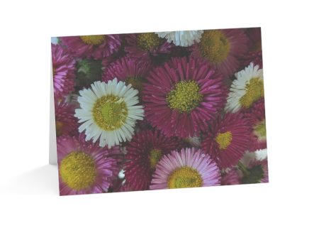 Notecards - English Daisies Sale