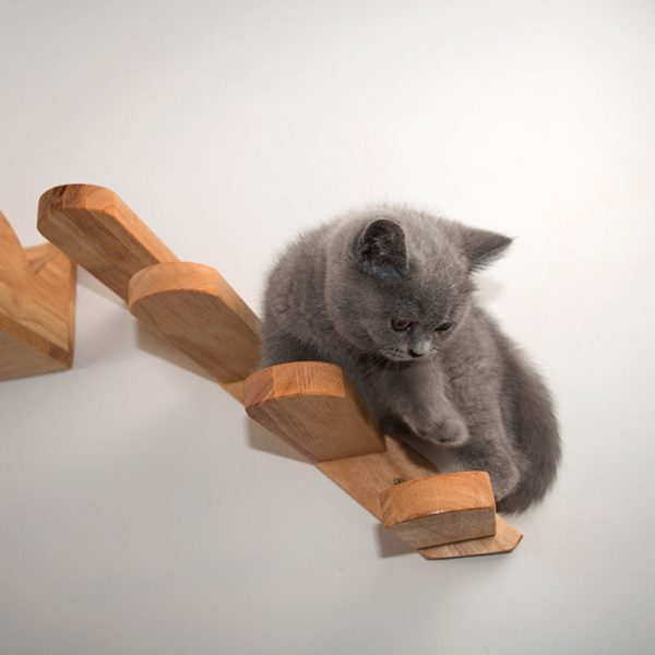 Cat Climbing Platform Online Sale