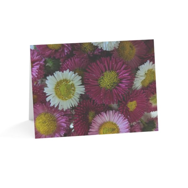 Notecards - English Daisies Sale