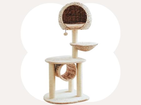 Bird Nest Cat Tree For Cheap