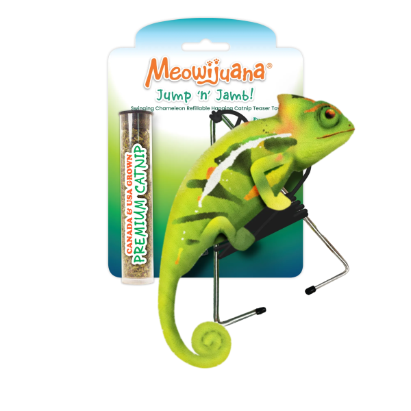 Jump  n  Jamb Chameleon Refillable Interactive Cat Toy Online now