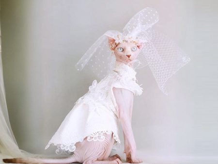 Elegant Cat Wedding Dress with Veil Online Sale