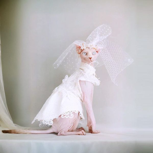 Elegant Cat Wedding Dress with Veil Online Sale