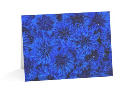 Notecards - Blue Bachelor Buttons Online now