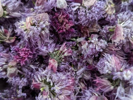 Dried Edible Flowers - Chive Flowers Online Hot Sale