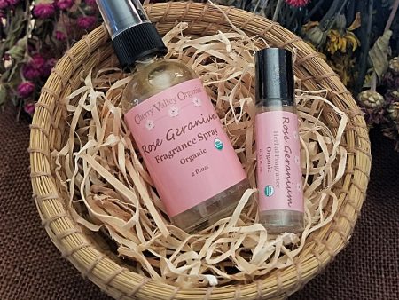 Rose Geranium Fragrance Online Sale