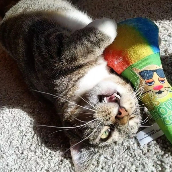 Get Chilled Snow Cone Refillable Cat Toy on Sale