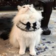 Black Bow Cat Bib Sale