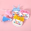 Pet Birthday Party Bib and Hat Fashion