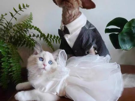 Charming Cat Wedding Gown with Bow Sale