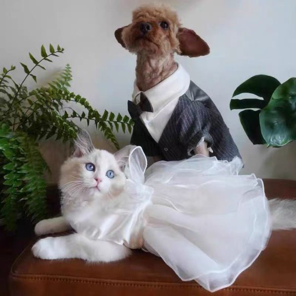 Charming Cat Wedding Gown with Bow Sale