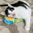 Get Chilled Snow Cone Refillable Cat Toy on Sale