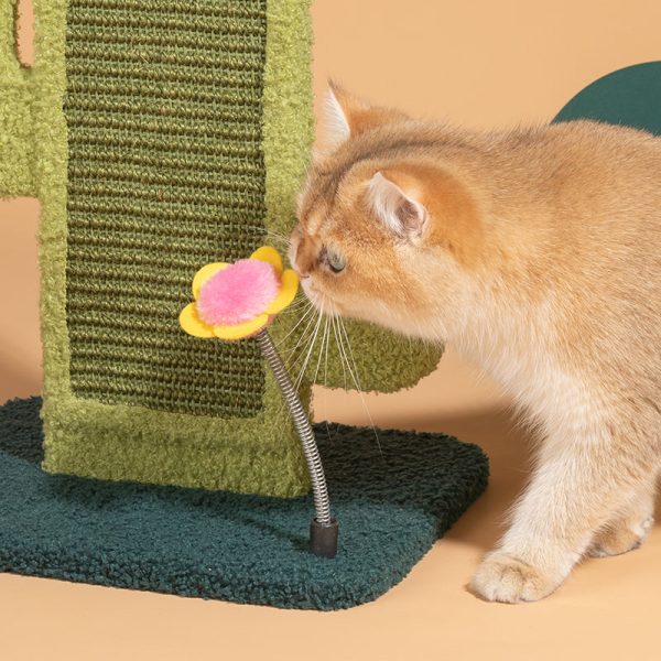 Cactus Cat Scratcher For Discount