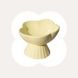 Flower and Shell Cat Bowl Sale