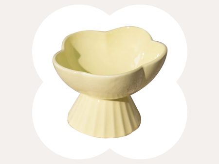 Flower and Shell Cat Bowl Sale