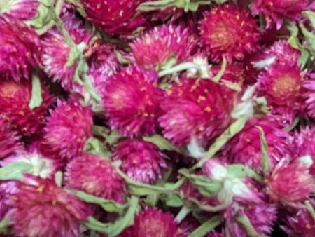 Dried Edible Flowers - Gomphrena, Carmine Discount