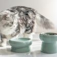 Simple Ceramic Cat Bowl-For Round Faces Fashion