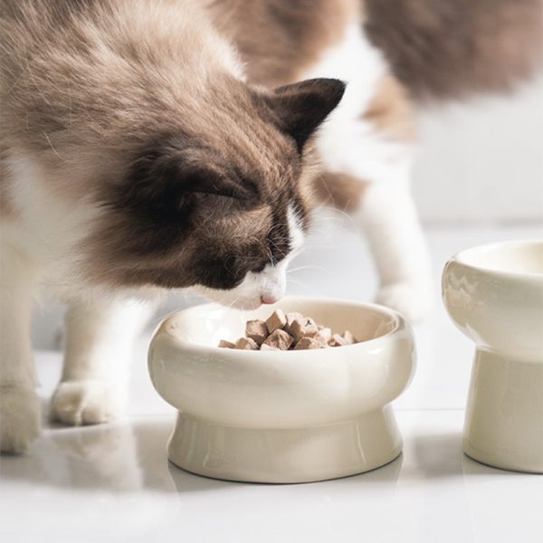 Simple Ceramic Cat Bowl-For Round Faces Fashion