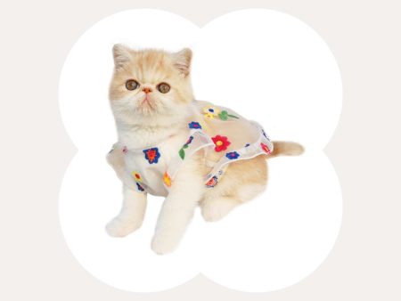 Flower Embroidery Cat Dress Online