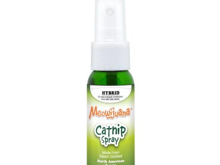 Catnip Spray | 1 ounce bottle Fashion