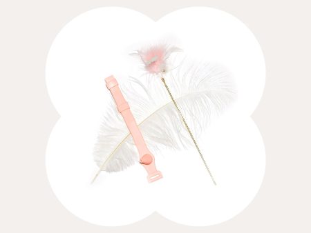 Wristband Fairy Cat Teaser Wand For Discount