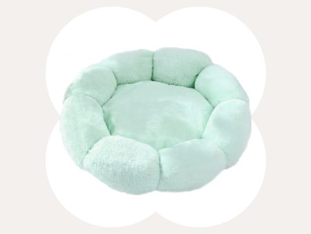 Flower Shaped Cat Bed Sale