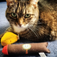 Catnip Cigar - Catnip & Valerian Root Filled Cat Toy Discount