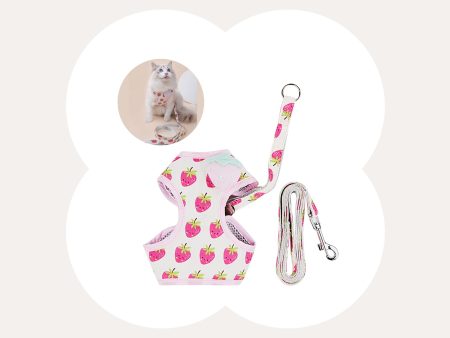 Fruit Series Cat Leashes and Harnesses For Sale