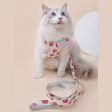 Fruit Series Cat Leashes and Harnesses For Sale