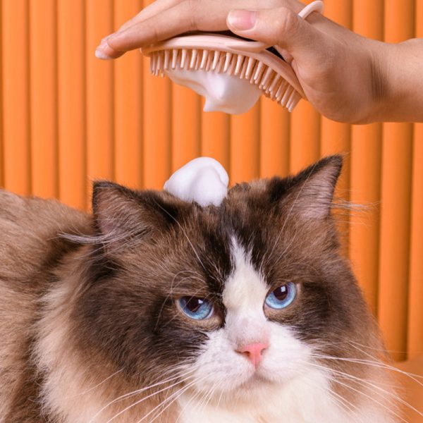 Massage Brush Cat Groom Cheap