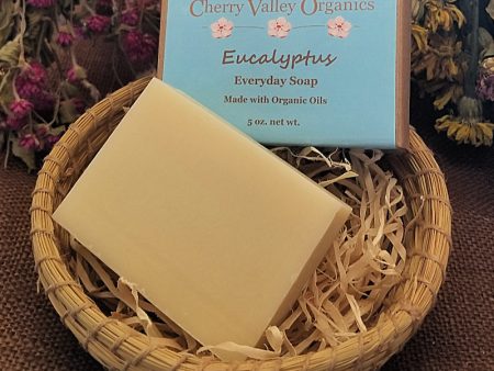 Eucalyptus Everyday Soap on Sale