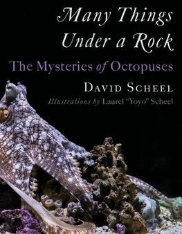 Many Things Under a Rock: The Mysteries of Octopuses Fashion