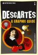 Introducing Descartes: A Graphic Guide Sale